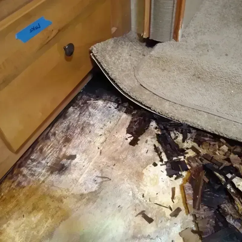 Wood Floor Water Damage in Succasunna, NJ